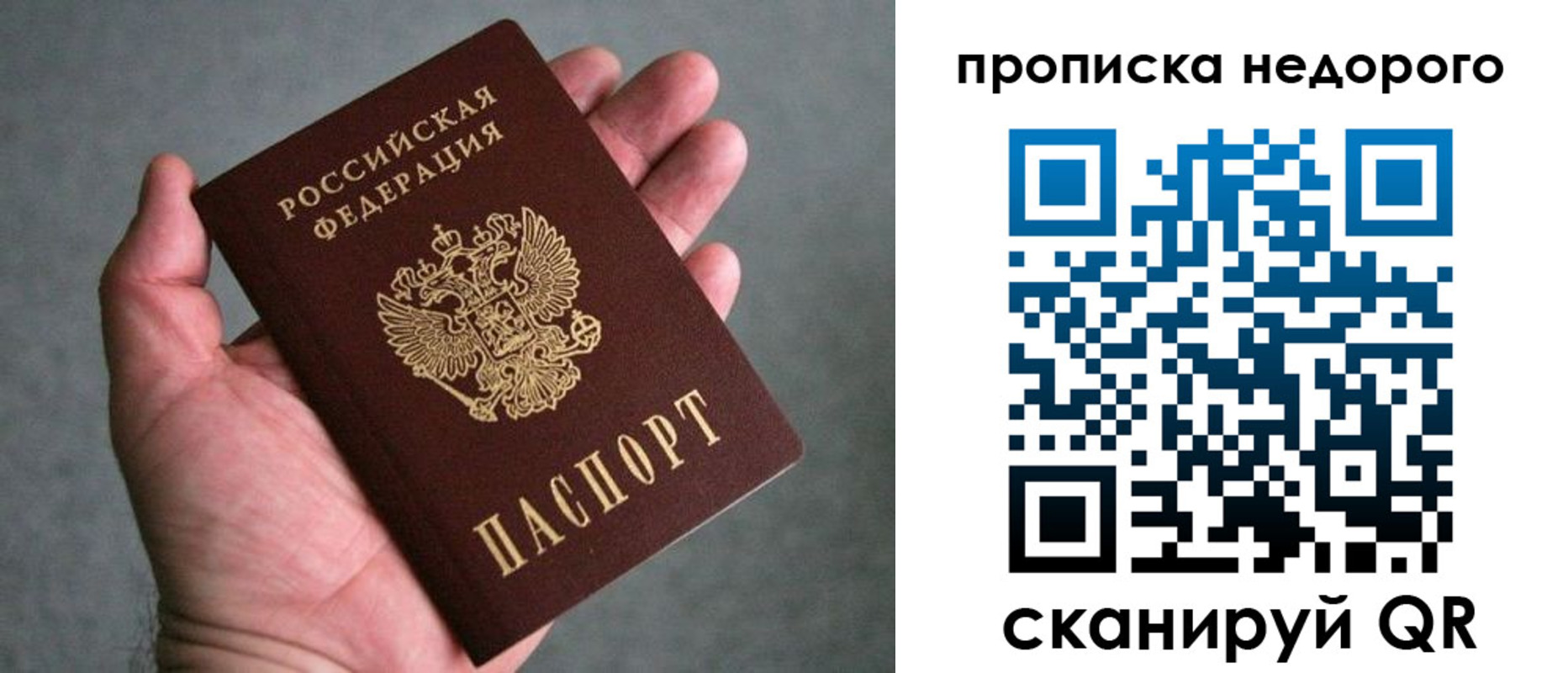 прописка поиск в Одинцово